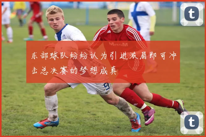 东部球队纷纷认为引进浓眉即可冲击总决赛的梦想成真